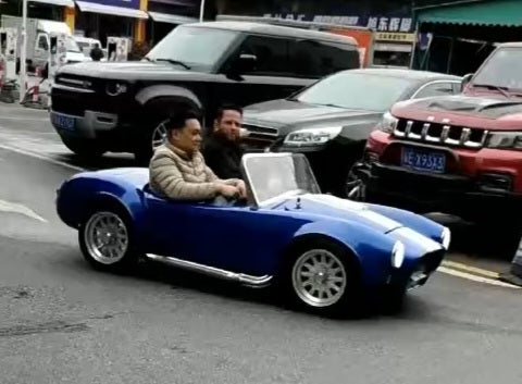 Mini Cobra